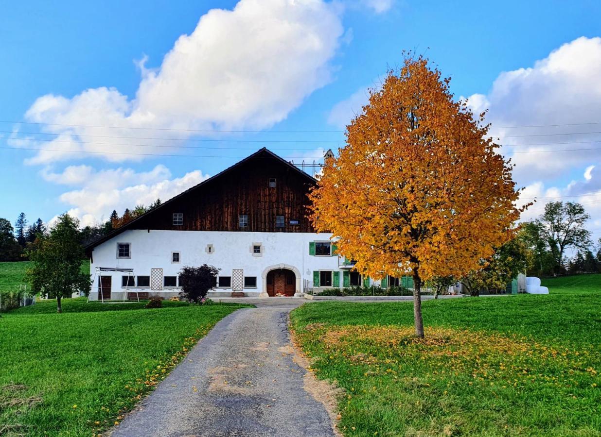 O Valanvron - Appartement Dans Une Ancienne Ferme Neuchateloise La Chaux De Fonds Exteriér fotografie